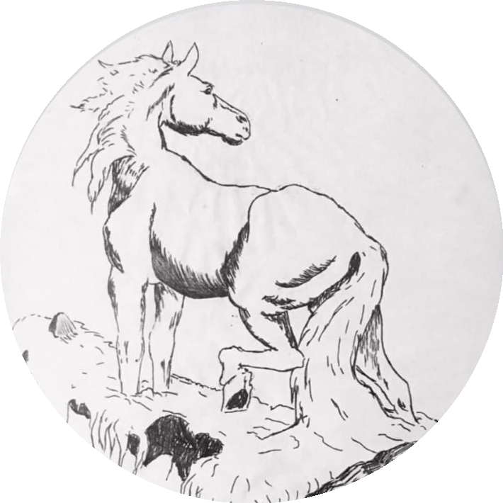Brasão A Escola Chamada Cavalo