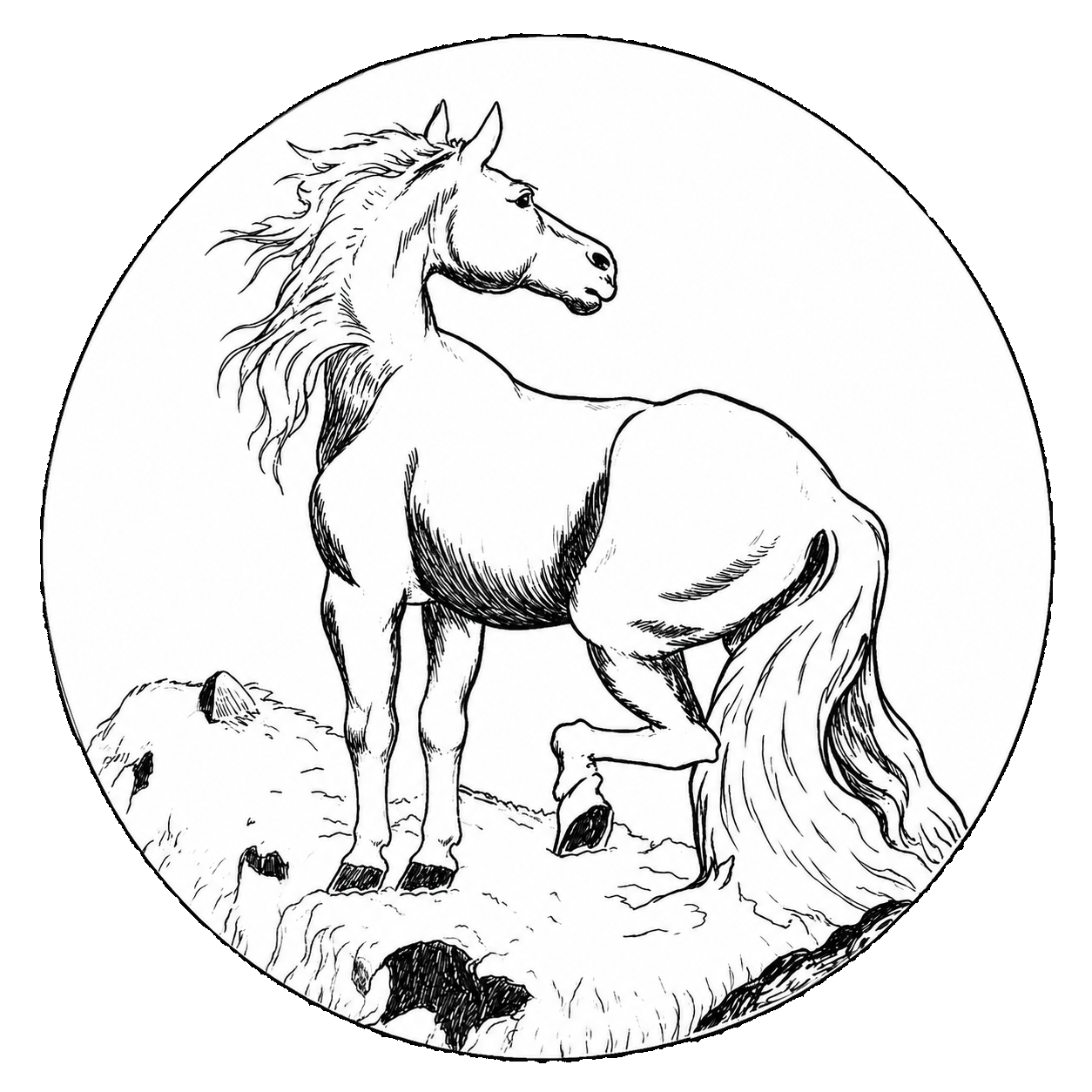 Brasão A Escola Chamada Cavalo